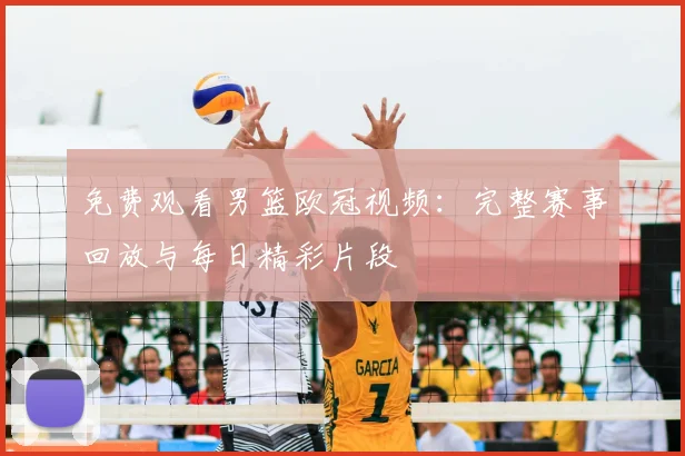 免费观看男篮欧冠视频：完整赛事回放与每日精彩片段